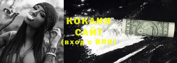 гашик Белая Холуница