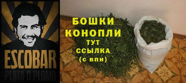молекула духа Нефтекумск