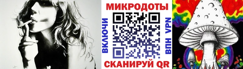 Псилоцибиновые грибы Psilocybe  Кирово-Чепецк 