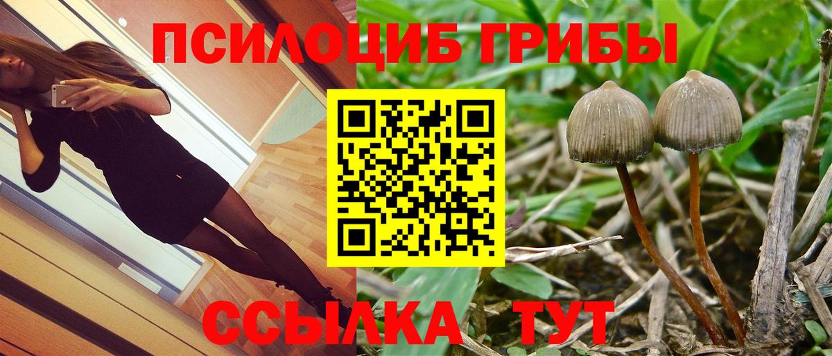 МЕФ Кирово-Чепецк