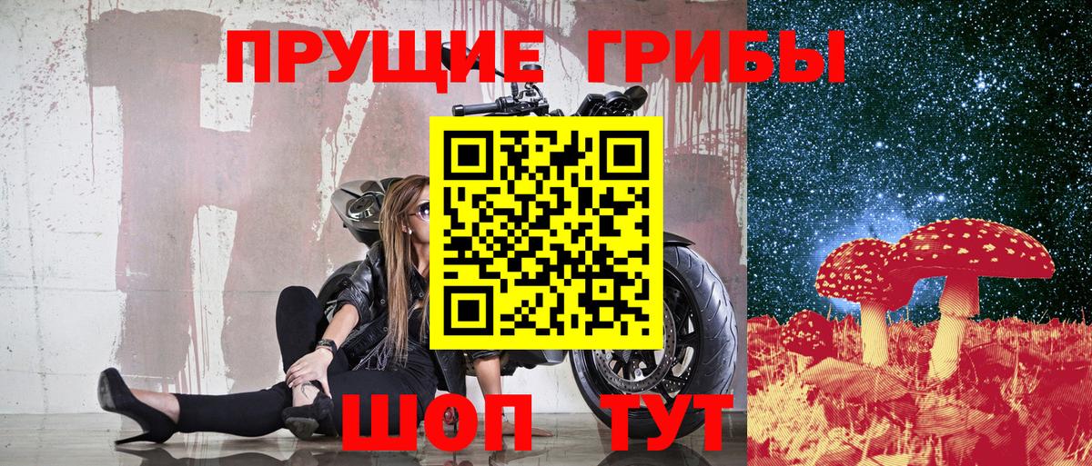 Галлюциногенные грибы Psilocybine cubensis Кирово-Чепецк